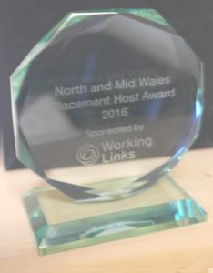 Gwobr Working Links Award 2